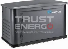 Газовый генератор Mirkon Energy MKG8M с АВР В кожухе Mirkon Energy  trustenergo.ru