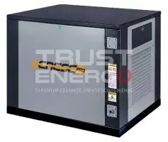 Газовый генератор Genese Pro 6250 Neva кожухе