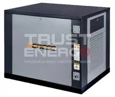 Газовый генератор Genese Standard 6250 Neva кожухе