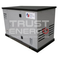 Газовый генератор REG ARCTIC GG10-380S